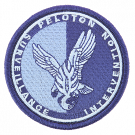 Écusson PSIG